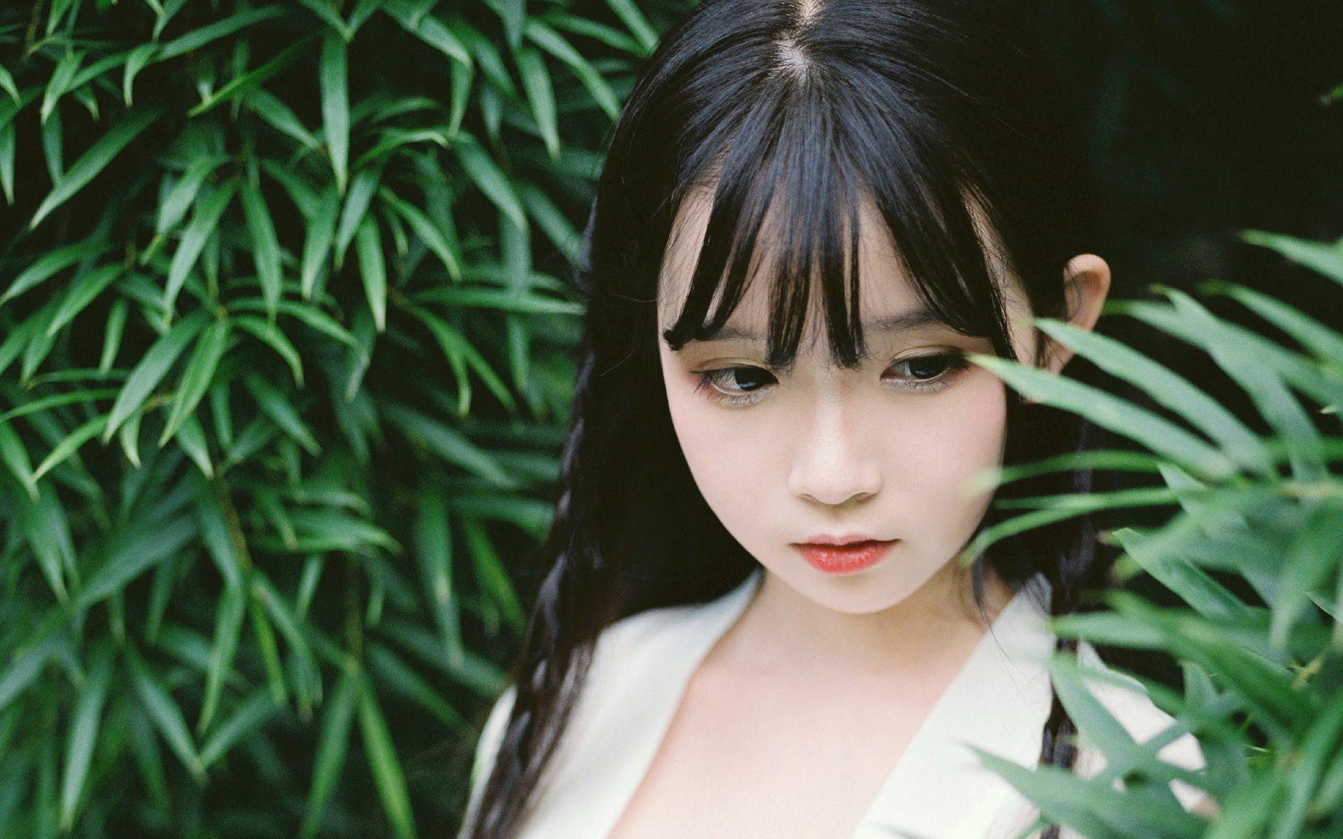 网红刷赞抖音招代理 - 快手在线送赞