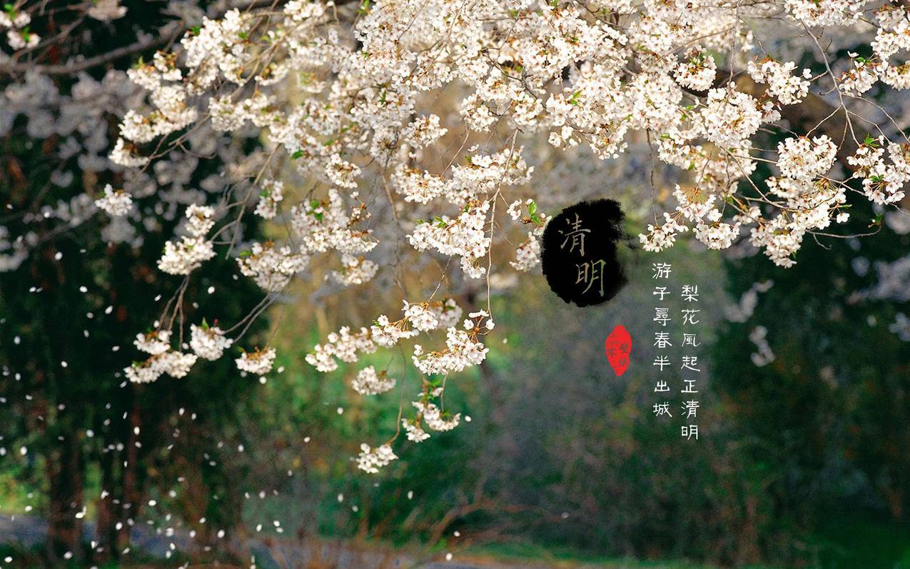 ks代刷网站推 - 免费刷赞网站快手