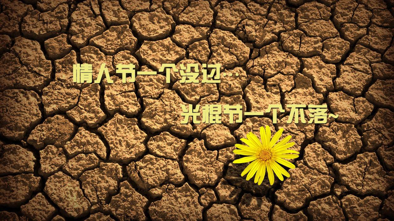 抖音平台低价刷赞 -