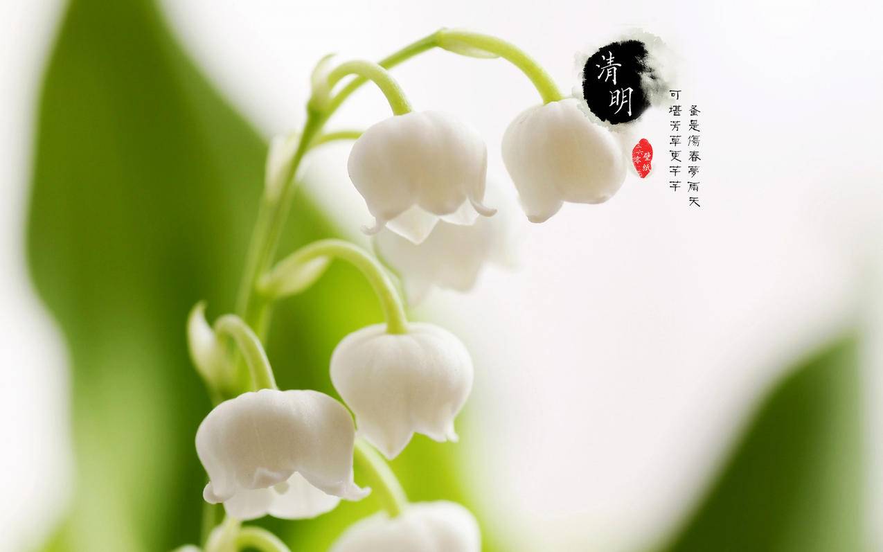 空间说说刷赞免费墨言