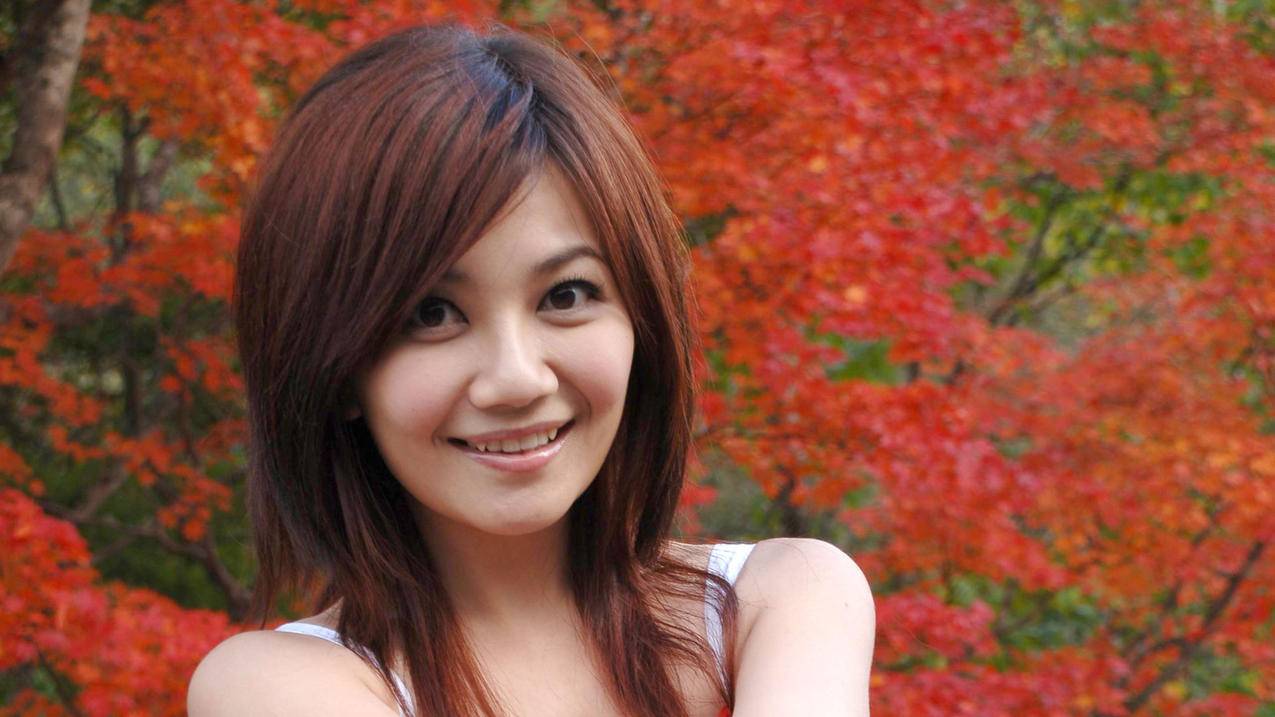 抖音粉丝低价网站平台