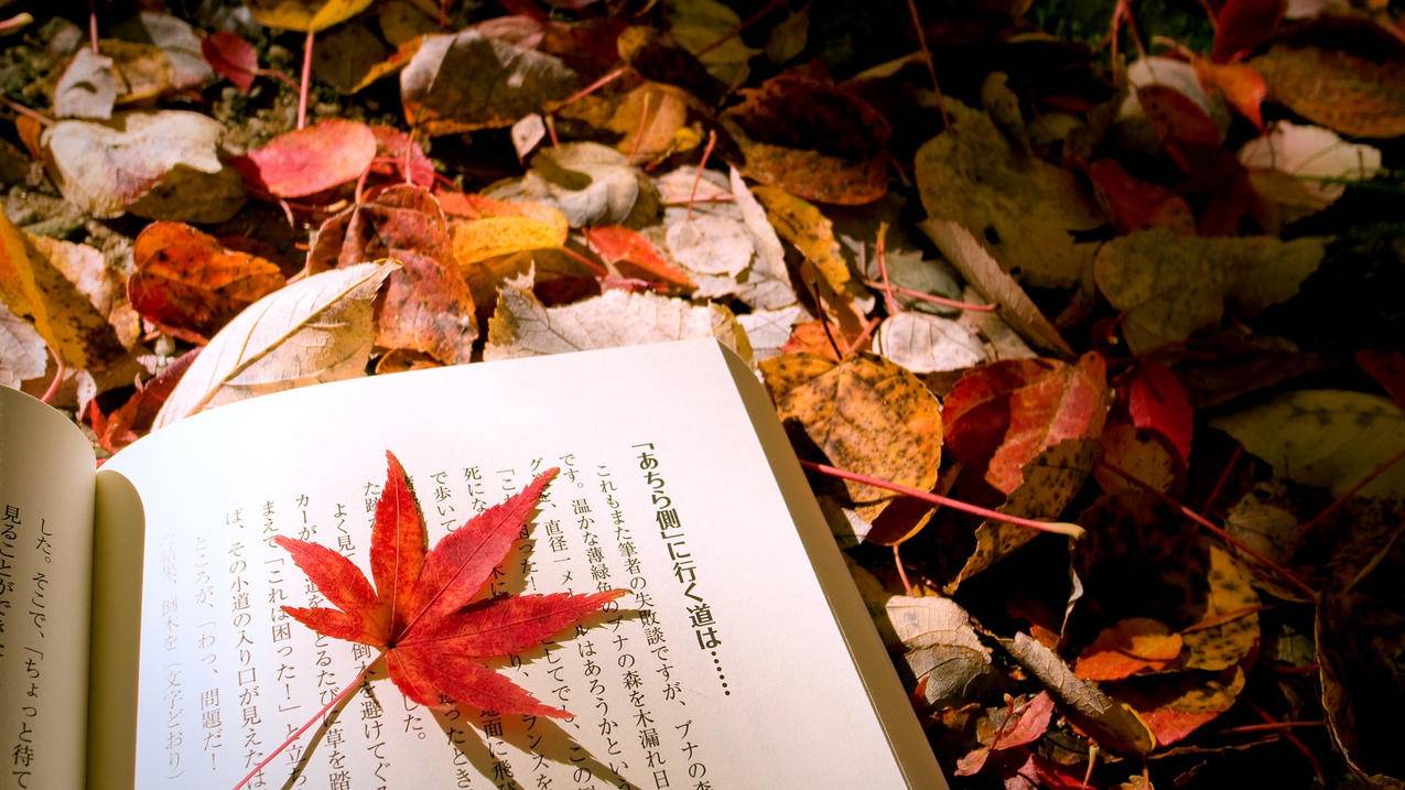 快手刷浏览量蓝天9网