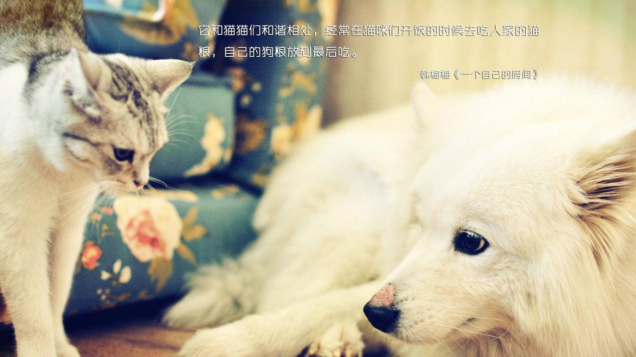 刷QQ空间访问量 -