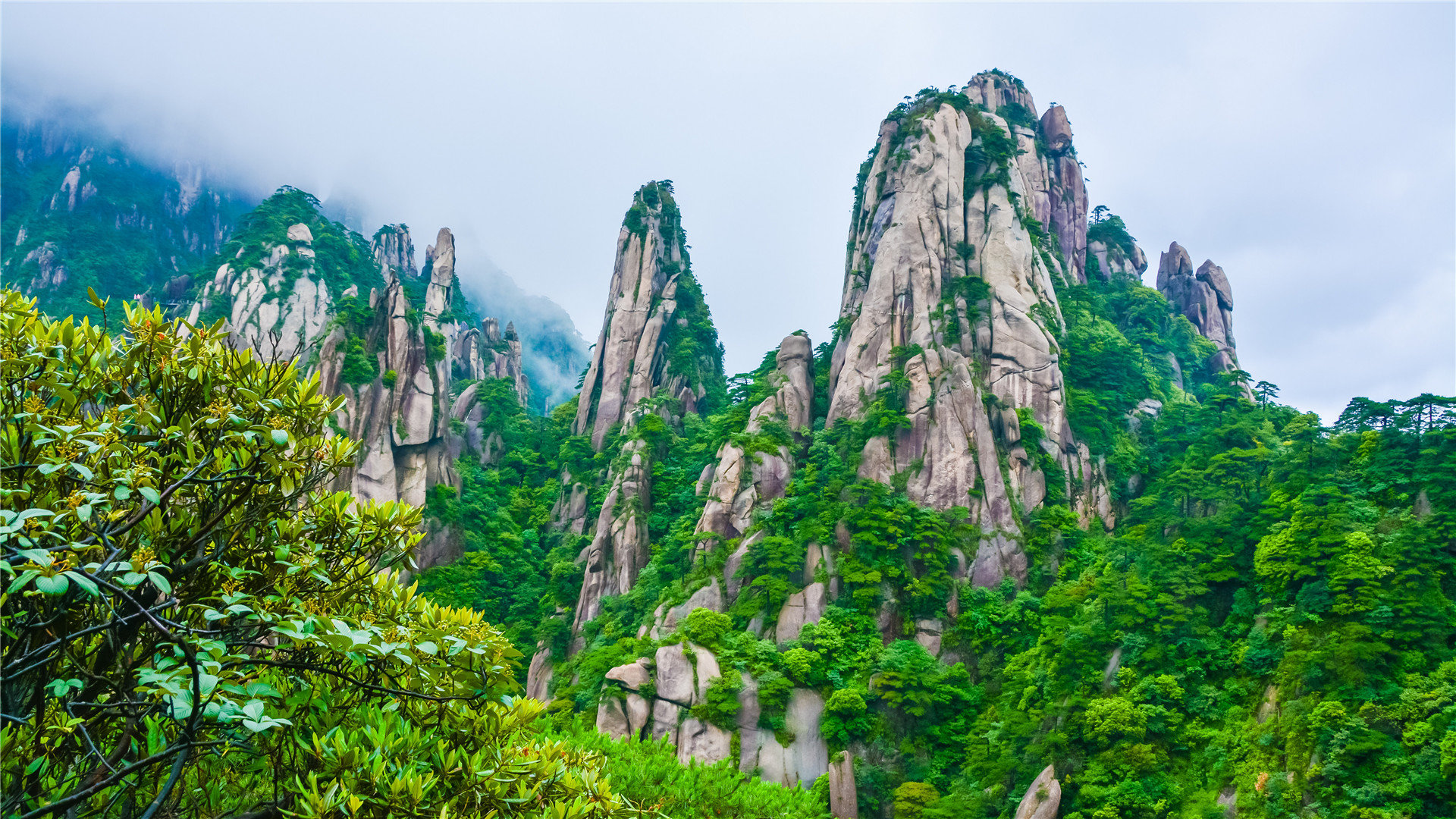 快手免费刷业务网站-快手赞网站全网最低价,快手直播刷皇冠涨粉,快手子潇代刷网,刷QQ点播钻